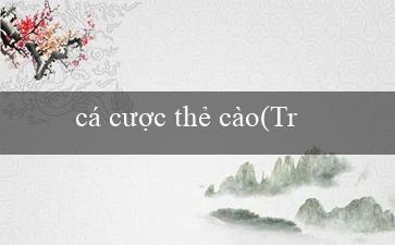 cá cược thẻ cào(Trò chơi đồng xu trực tuyến – sự phát triển mới)